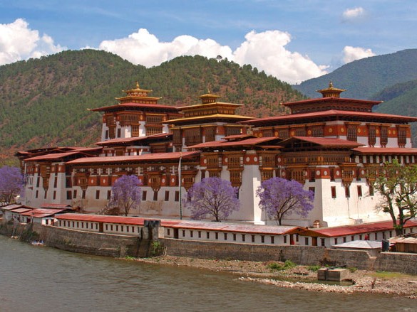 PunakhaDzongInSpring